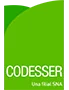 Codesser